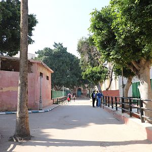 View across the zoo, February 2016
