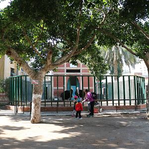 Old African elephant enclosure, February 2016
