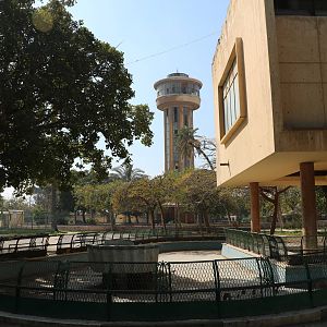 View across to the observation tower, February 2016