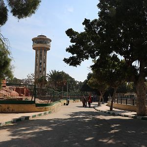View across to the observation tower, February 2016