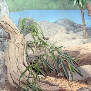 Lace Monitor Enclosure (Part 1)