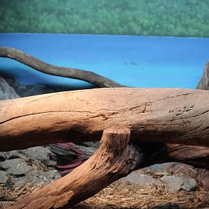 Lace Monitor Enclosure (Part 2)