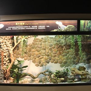 Reptile house