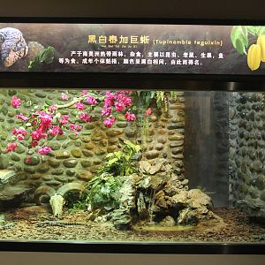 Reptile house