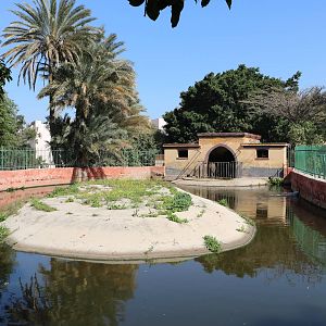 Hippo enclosure, February 2016