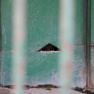 Locked in, February 2016