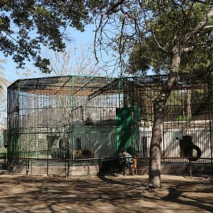 Bear cages, February 2016