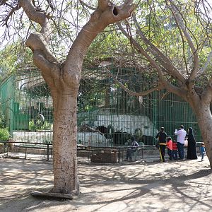 Bear cage, February 2016