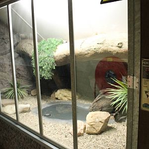 Enclosure Mexican beaded lizard