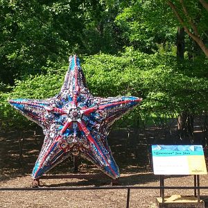 Washed Ashore: Art to Save the Sea - American Sea Star