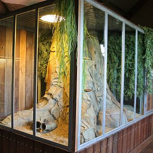 Enclosure Round-eared elephant-shrew