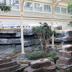Inca Tern Exhibit - Bird House