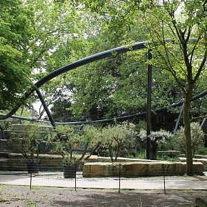 Jaguar Enclosure - Under Construction