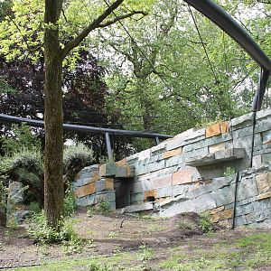 Jaguar Enclosure - Under Construction