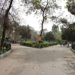 Path through the zoo, February 2016