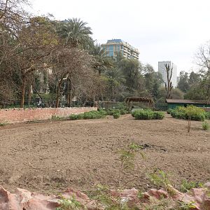 Zebra paddock, February 2016