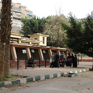 Fox house, February 2016