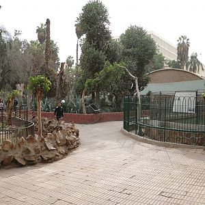Reptile complex, February 2016
