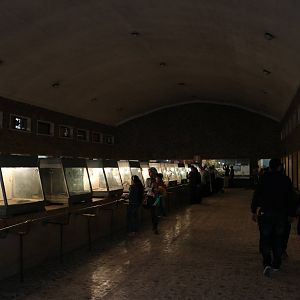 Reptile house interior, February 2016