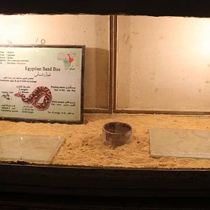 Egyptian sand boa enclosure + sign, February 2016