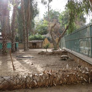 Giant tortoise enclosure, February 2016