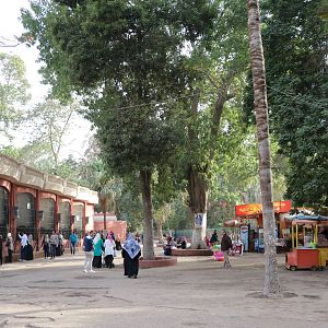 Lion cages, February 2016