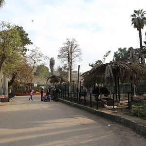 View across to cheetah enclosure, February 2016