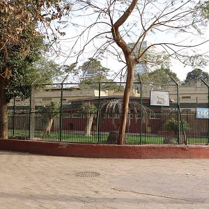 Cheetah enclosure, February 2016