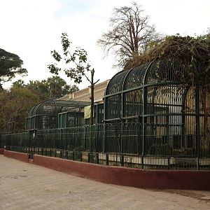 Lion cages, February 2016