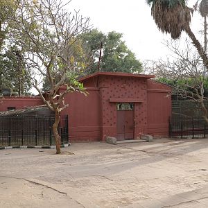 Hyena house, February 2016