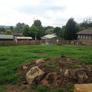 Llama Field at Ponderosa Rural Thereapeutic Centre