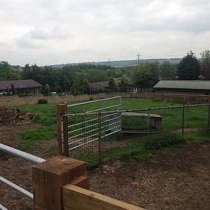 Llama Field at Ponderosa Rural Thereapeutic Centre