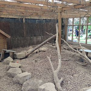 Meerkat Exhibit at Ponderosa Rural Thereapeutic Centre