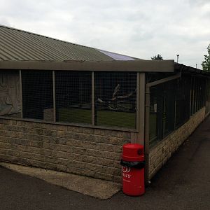 Outdoor View of the Marmoset Exhibit at Ponderosa Rural Thereapeutic Centre