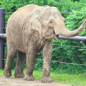 May. 2016 - Asia Quest - Phoebe