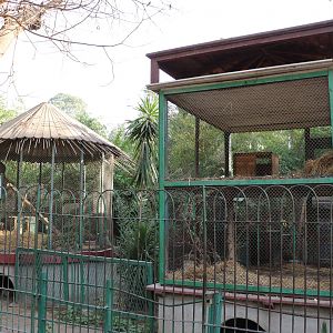 Small monkey cages, February 2016