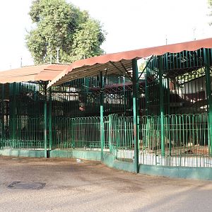 Bear cages, February 2016