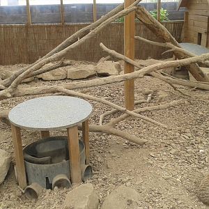 View of Meerkat enclosure