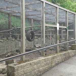 View of Coati enclosure