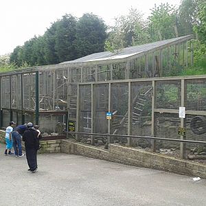 View of Parrot aviarys between Coati and ASCO enclosures
