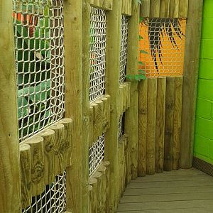 View of Morelet`s Crocodile visitor barrier