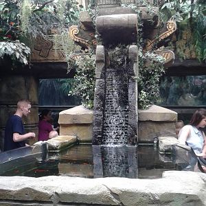 Axolotl and Swordtail exhibit