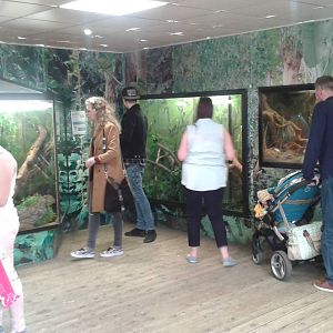 View of Reptile exhibits