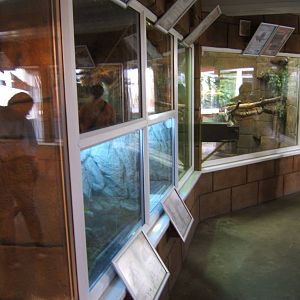 View inside Reptile House