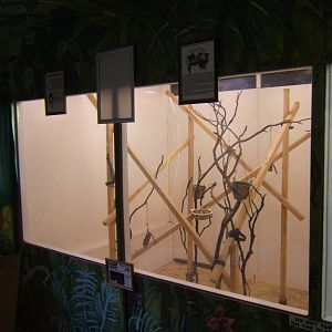 View inside Marmoset and Tamarin House