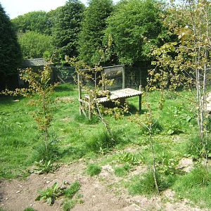 View of Cheetah enclosure