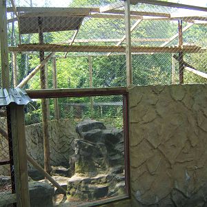 View of Carpathian Lynx encolsure