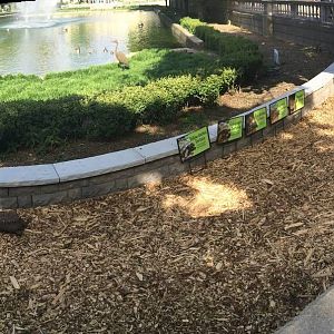 New outdoor tortoise exhibit