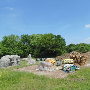 Gelada Exhibit Progress