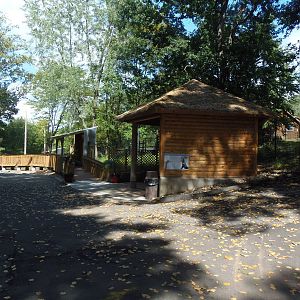 Pampas Plains Beginning